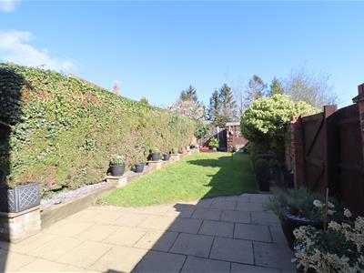 Picture 12